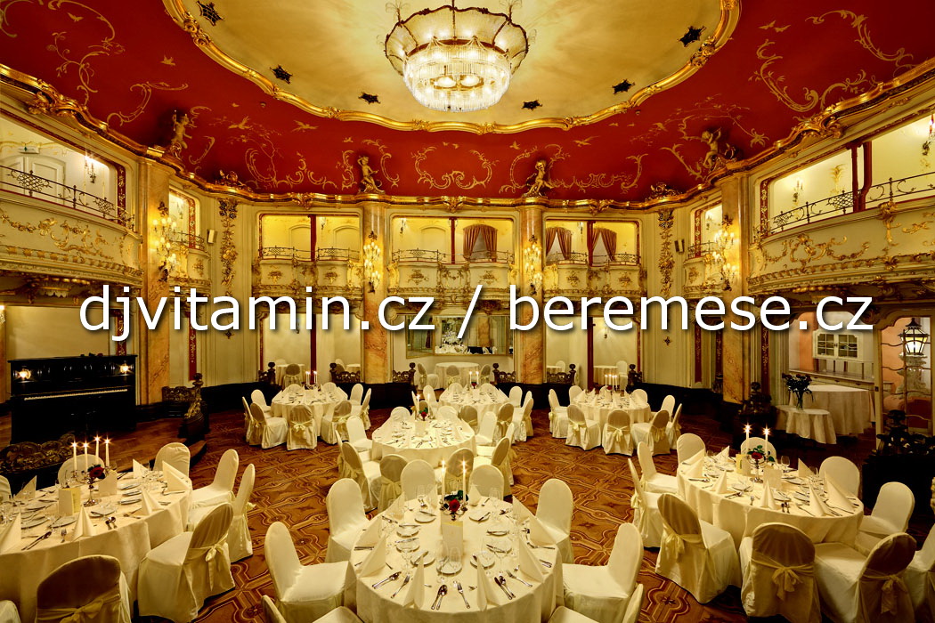 Mezinárodní Svatba Fialovi 2013 - Grand Hotel Bohemia Praha‎